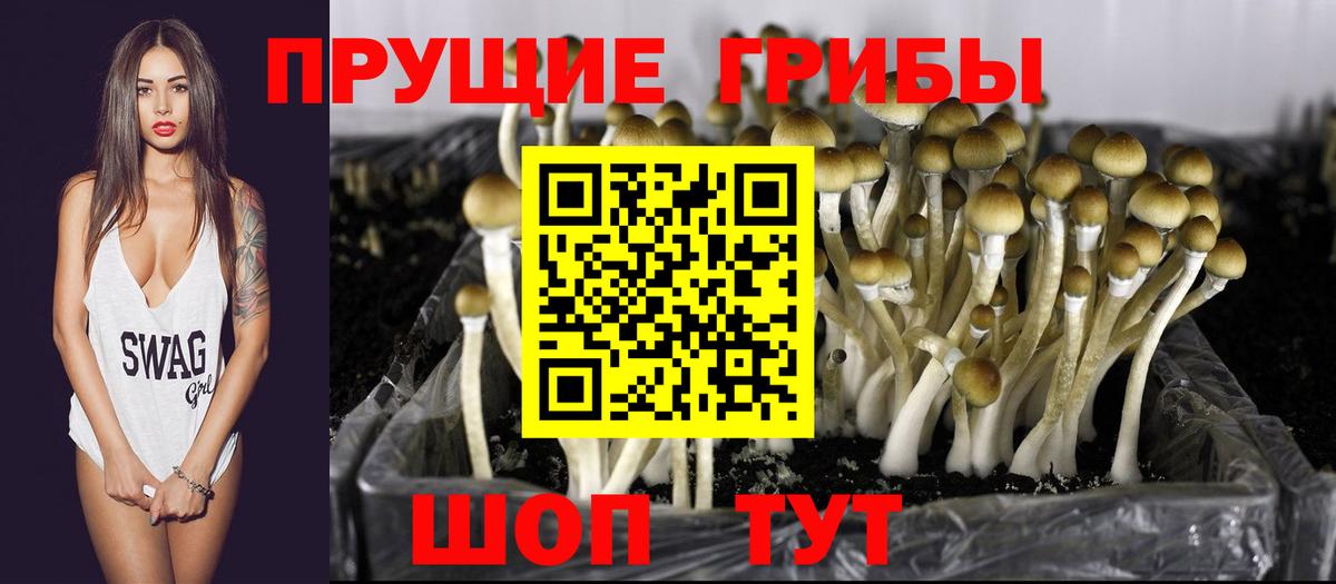 Галлюциногенные грибы GOLDEN TEACHER Кизляр
