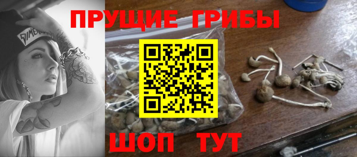 Псилоцибиновые грибы мухоморы  Вход с VPN  Кизляр 
